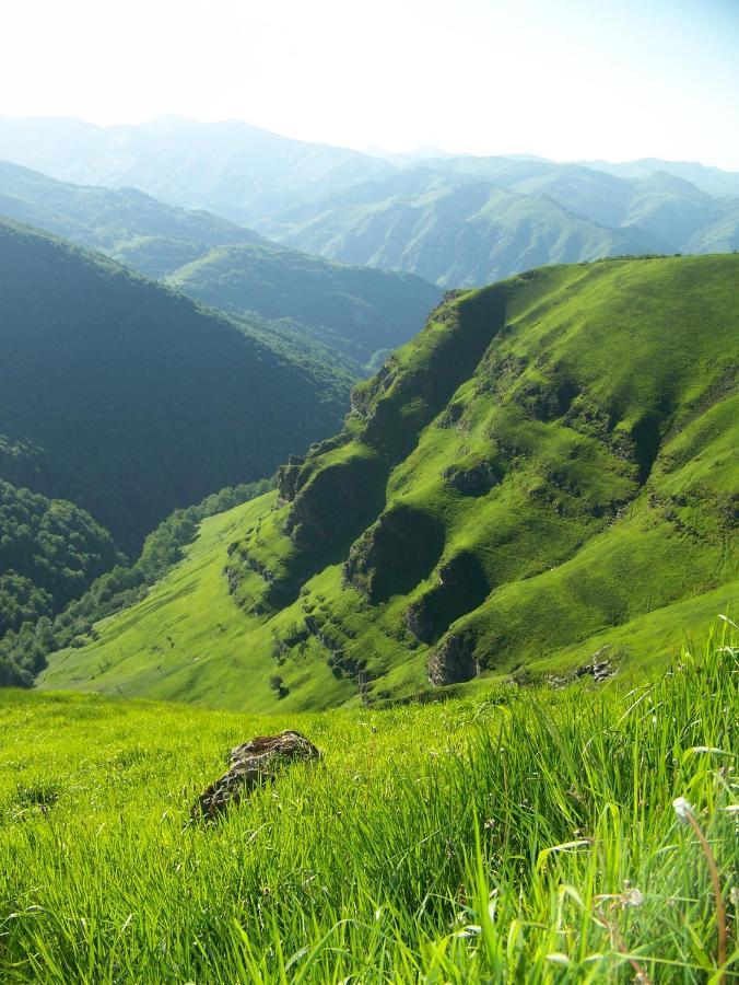 Tente Safari Lodge Ferme Carrique Tardets-Sorholus Екстериор снимка